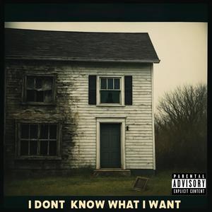 I DONT KNOW WHAT I WANT (Explicit)