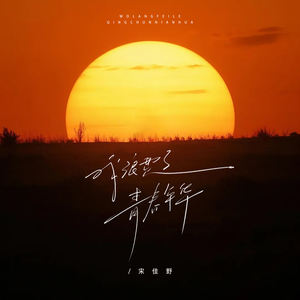 我浪费了青春年华