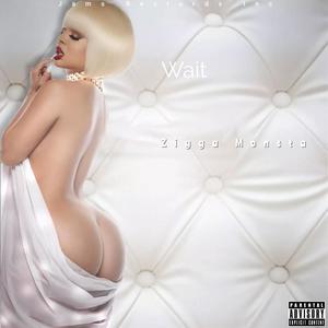 Wait (Explicit)