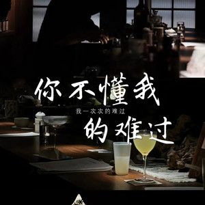 你不懂我的难过(我一次次的难过) (对唱版)