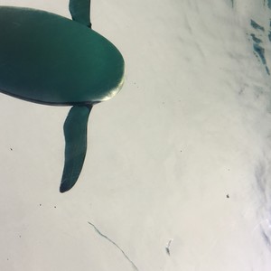 南热带探索频道