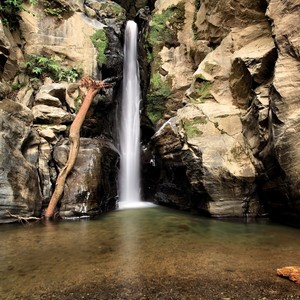 还是会想你-爱莎钢琴