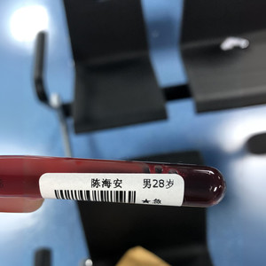 算不上歌的歌 demo