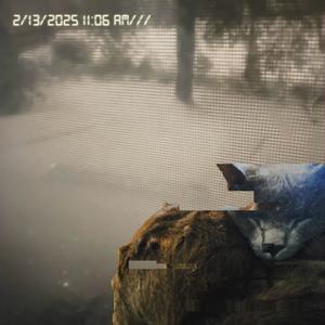 i wish you were dead