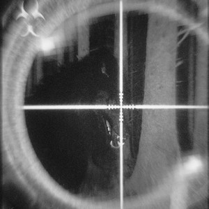 Death Ritual (Ultra Slowed)