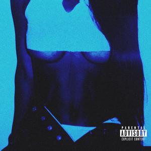 Perfect Design (Explicit)