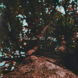 Hold On Till May(feat. Rafael Eduardo Lintao)