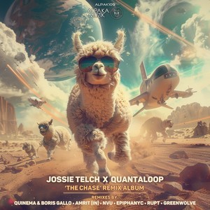 The Chase (Quinema Remix & Boris Gallo)
