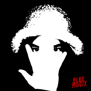 FLEXXXMUSIX (Explicit)