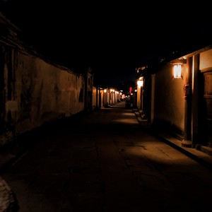 子不语·罗刹鸟