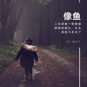 像鱼 (伴奏)封面