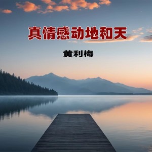 真情感动地和天 - 黄利梅封面