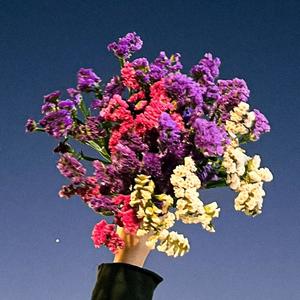 Alfo - El Hombre De Tus Sueños