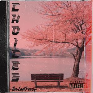 Choices (FreeStyle) [Explicit]