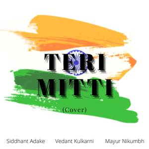 Teri Mitti