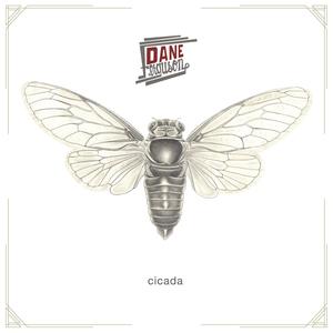 Cicada (Explicit)