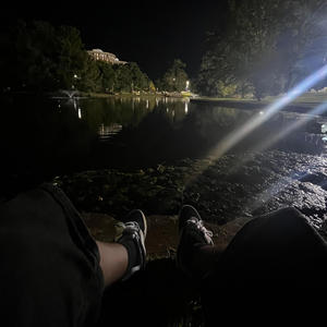 border collie. (Explicit)