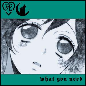 WHAT YOU NEED ♡ (Explicit)