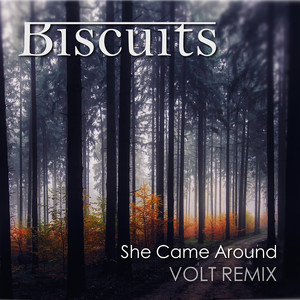 She Came Around (Volt Remix)