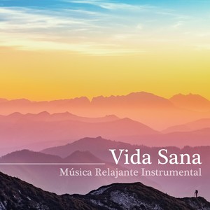 Vida Sana