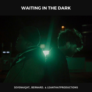 Waiting in the Dark (Explicit)