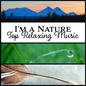 I’m a Nature – Top Relaxing Music: Mind Regeneration, Smart Healing, Blissful Experience, Private Paradise, Sounds of Harmony