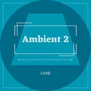 Ambient 12