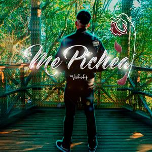 Me Pichea