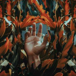 Trust Fall (Explicit)