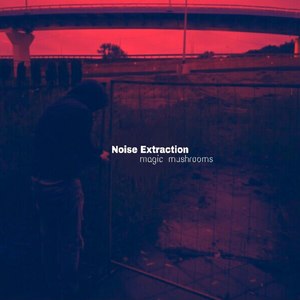 Noise Extraction