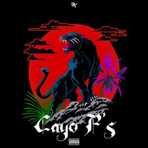 Paleto Shuffle (feat. Ayekayy, BabyK & Pxrty With Ekko) (Explicit)