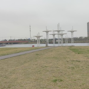 幻星岛