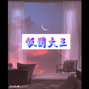 饭圈大王 (飙车版)封面
