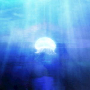 Kenwood (Fast Forward) - Audio Waves