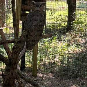 Lights Camera Action