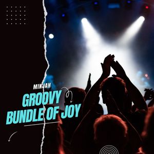 Groovy Bundle Of Joy (Original Mix)