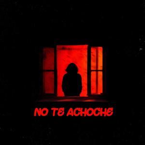 No Te Achoche