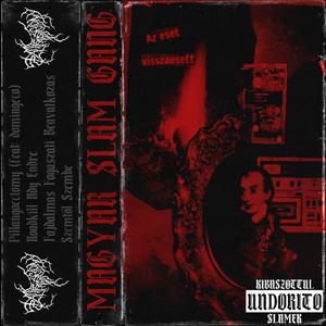 SLAMTENDRECTOMY (Explicit)