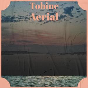 Tobine Aerial