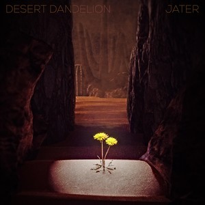 Desert Dandelion