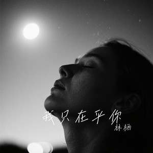 林栖 - 我只在乎你