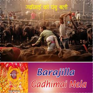 Barajilla Gadhimai mela