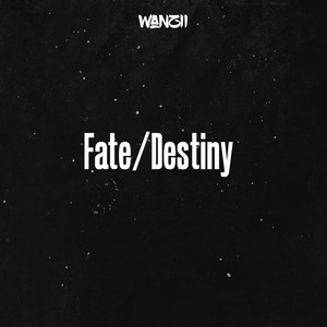 Fate/Destiny