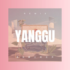 阳光路上花正开 (DJ版)