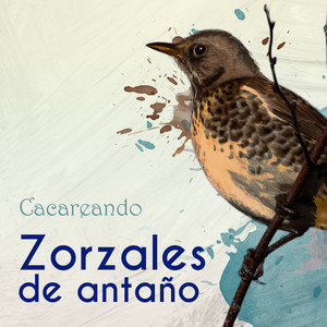 Zorzales de Antaño… Cacareando