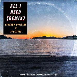 All I Need (feat. 1000Tees) (Remix)