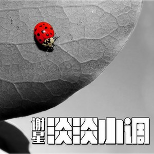 蛋蛋的歌