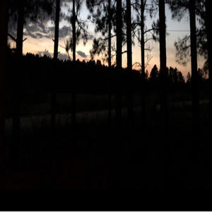 Only You Can Make Me Feel Alive