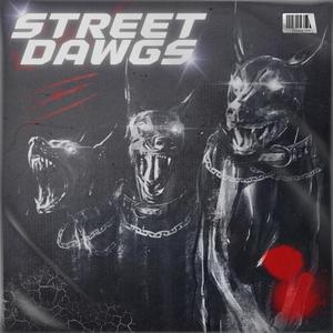 STREET DAWGS (feat. Nitin aka blaze & Sechi) (Explicit)