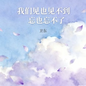 我们见也见不到忘也忘不了